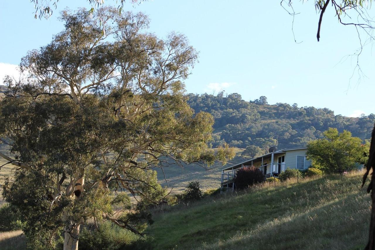 Elm Cottage Tumut Exterior foto