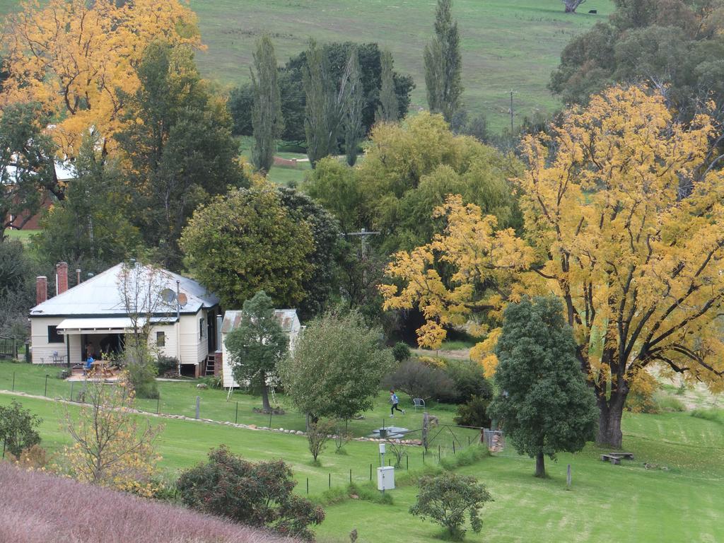 Elm Cottage Tumut Exterior foto
