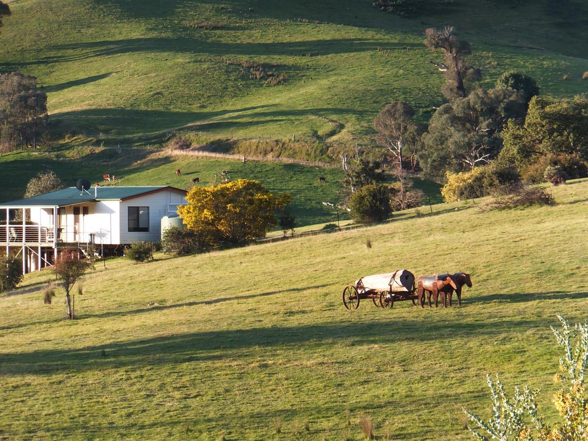 Elm Cottage Tumut Exterior foto