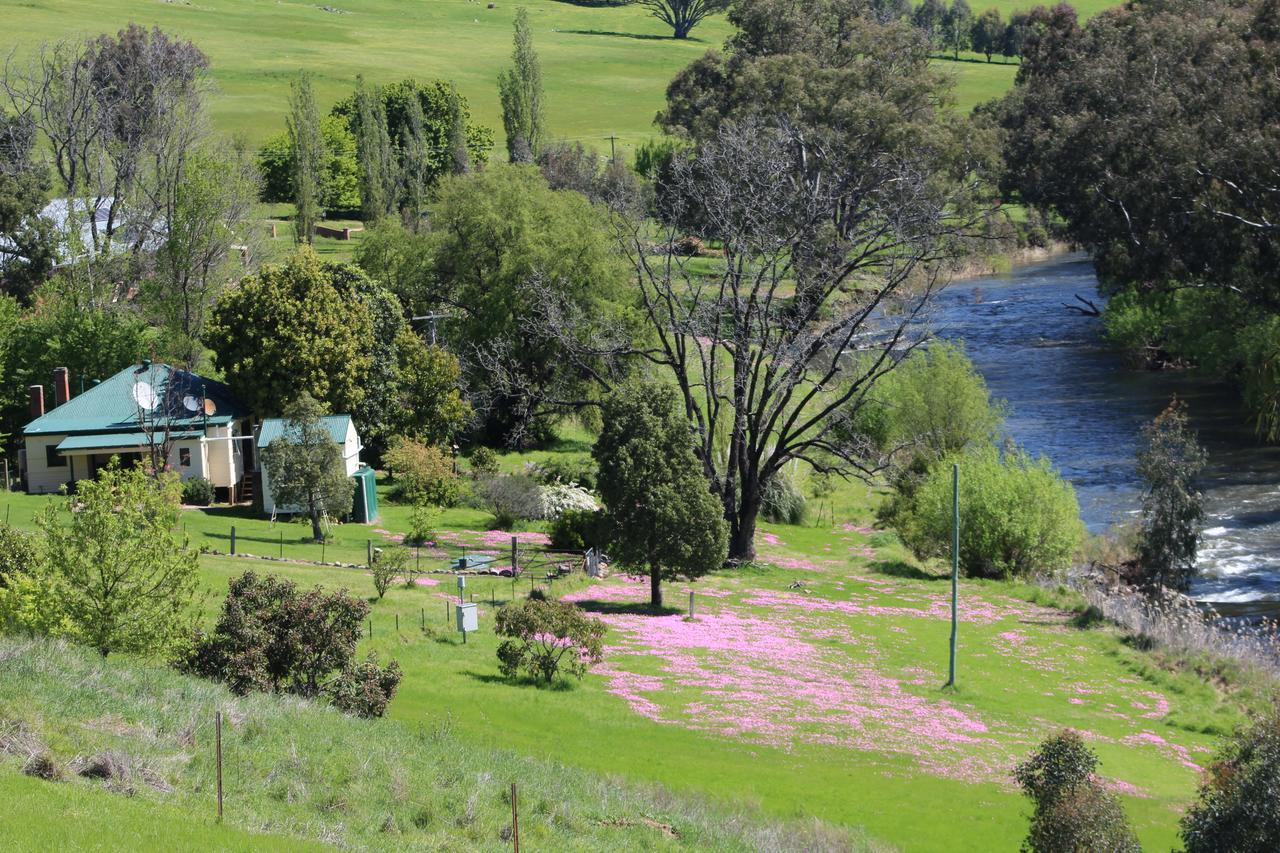 Elm Cottage Tumut Exterior foto